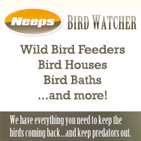 wild bird, bird seed, bird baths, wild bird supply, bird watching, bird watchers, bird houses, bird house
