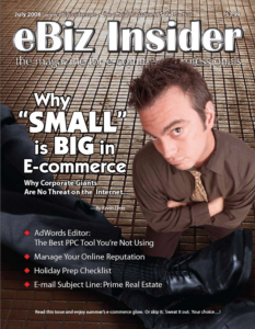 Cover of the July 2008 Issue of eBiz Insider Magazine