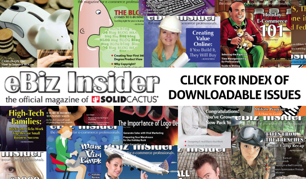 Click for an index of downloadable issues of eBiz Insider Magazine