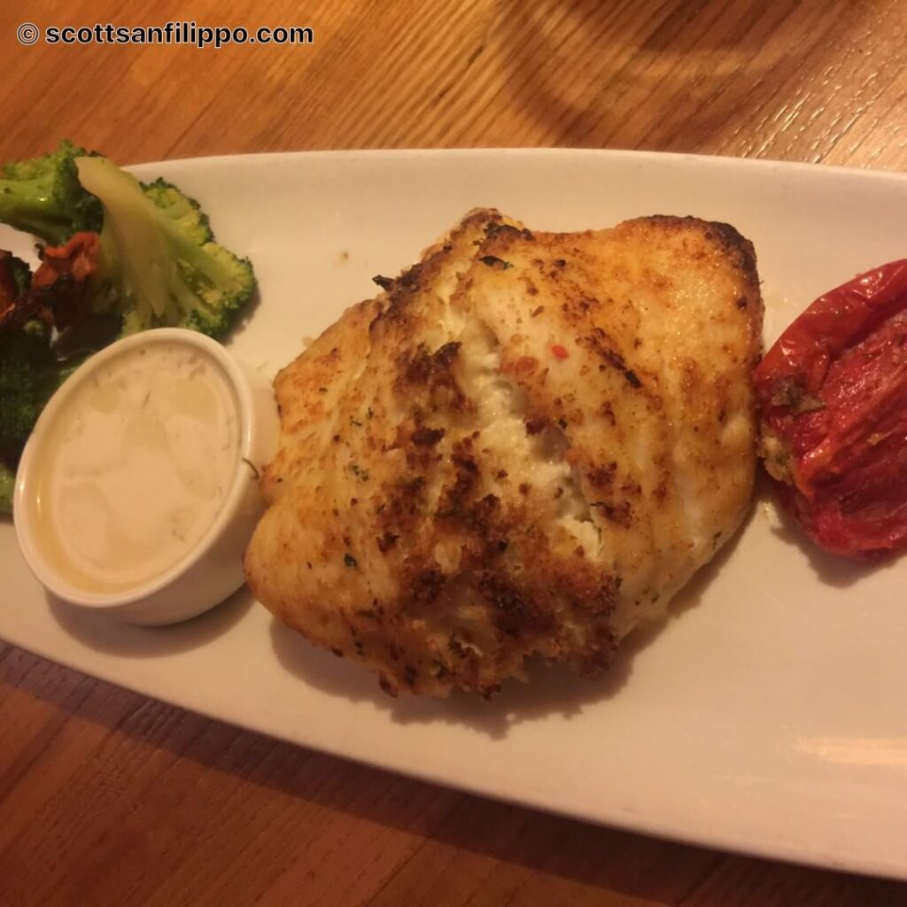 Stuffed Grouper from Sea Watch on the Ocean in Fort Lauderdale