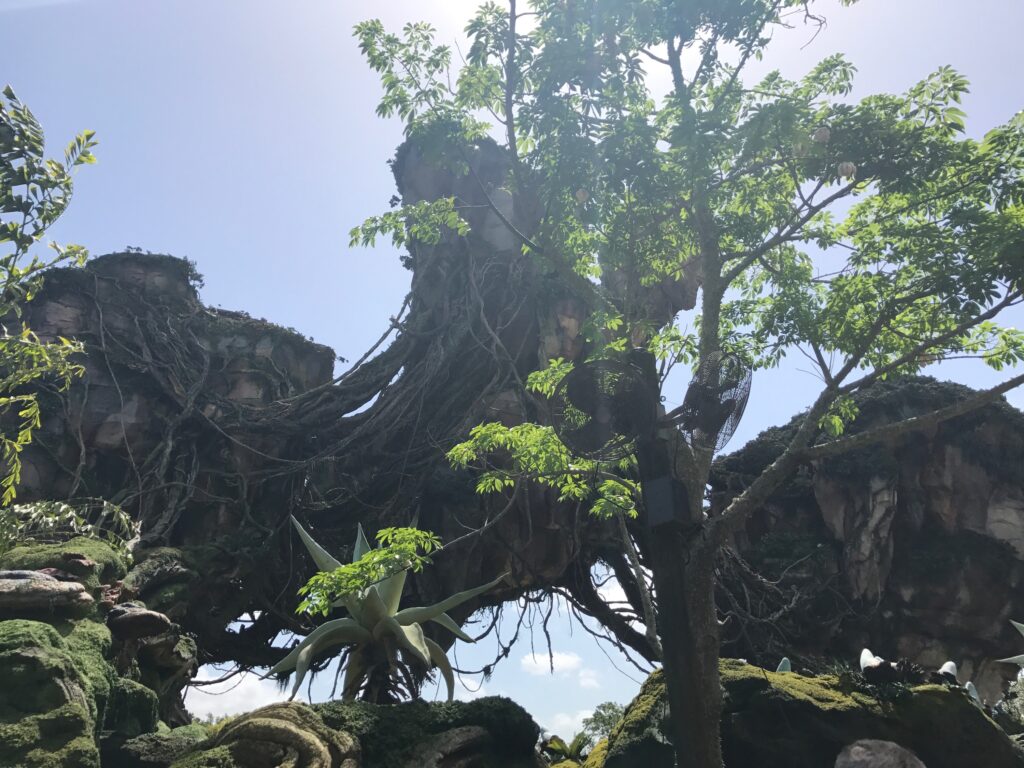 The Floating Mountains inside Pandora - The World of Avatar at Disney's Animal Kingdom