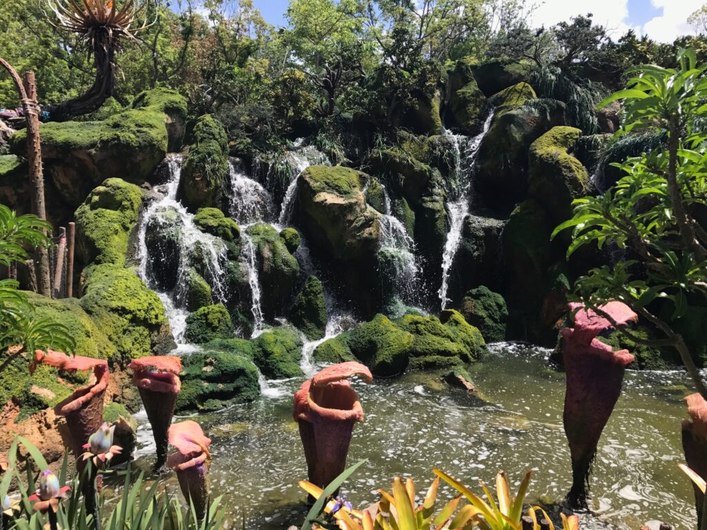 A look at some of the beautiful alien plant life inside Pandora - The World of Avatar at Disney's Animal Kingdom