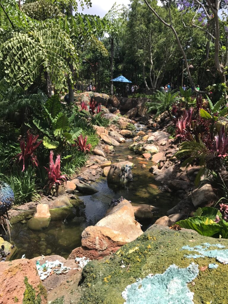 A look at some of the beautiful alien plant life inside Pandora - The World of Avatar at Disney's Animal Kingdom