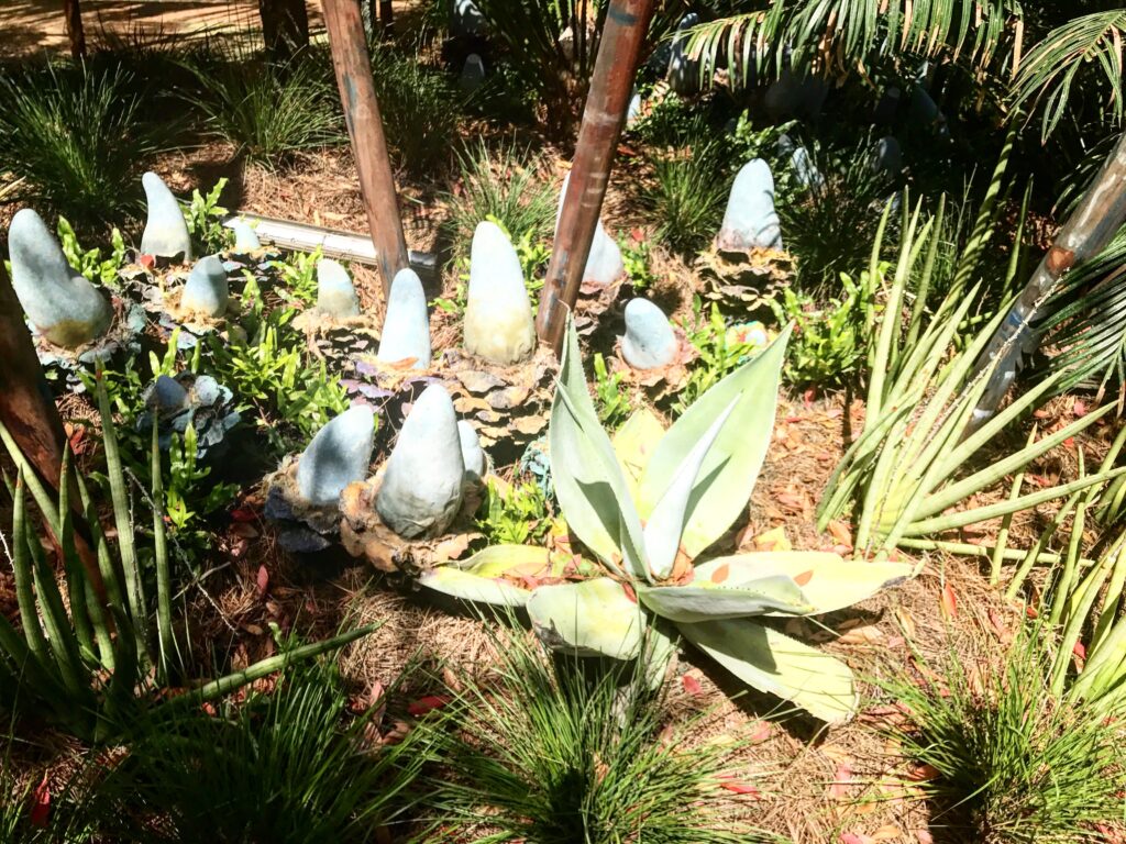 A look at some of the beautiful alien plant life inside Pandora - The World of Avatar at Disney's Animal Kingdom