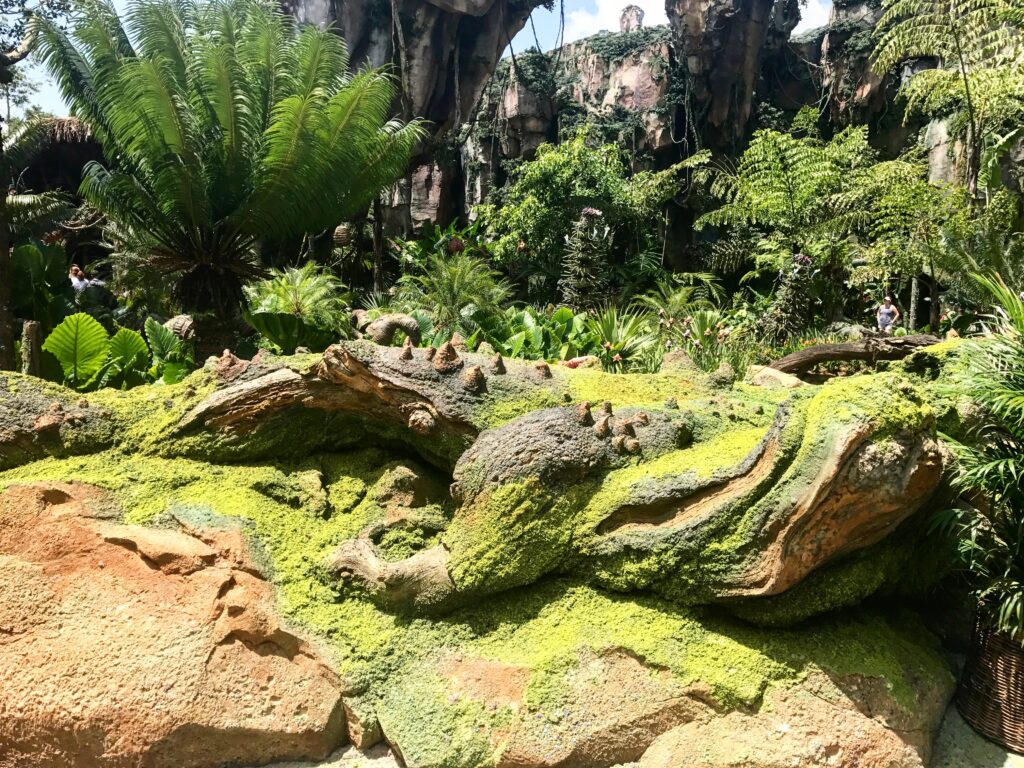 A look at some of the beautiful alien plant life inside Pandora - The World of Avatar at Disney's Animal Kingdom