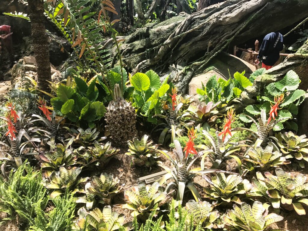 A look at some of the beautiful alien plant life inside Pandora - The World of Avatar at Disney's Animal Kingdom