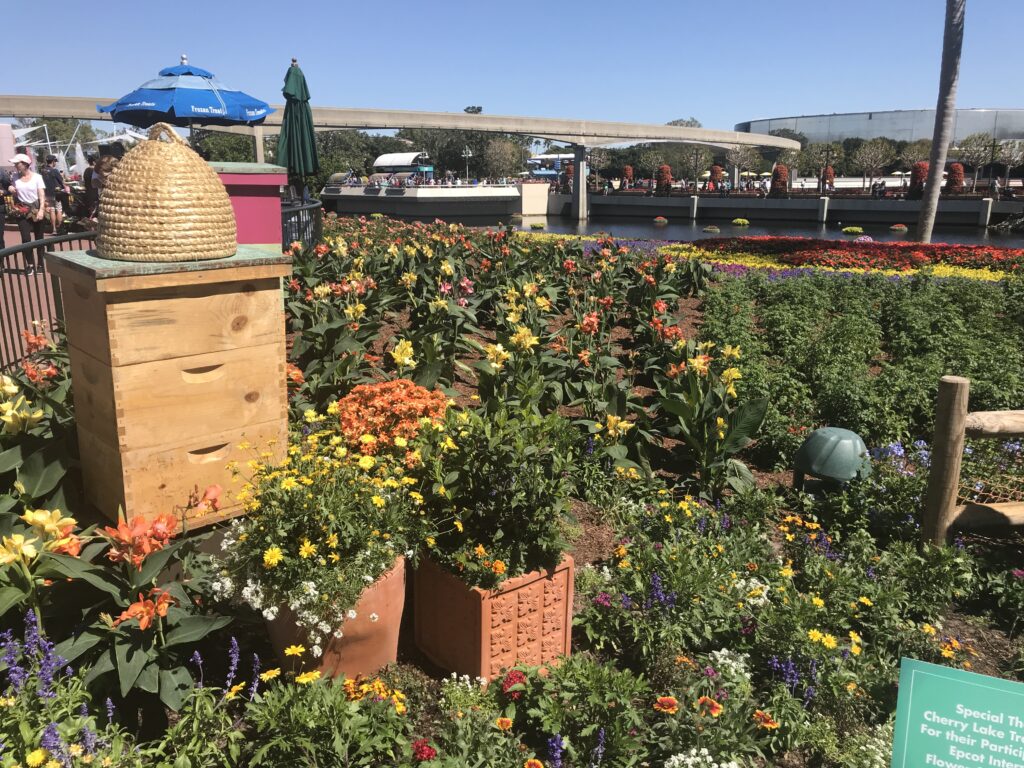 The Honey Bee-stro Garden at the 2018 Epcot International Flower & Garden Festival