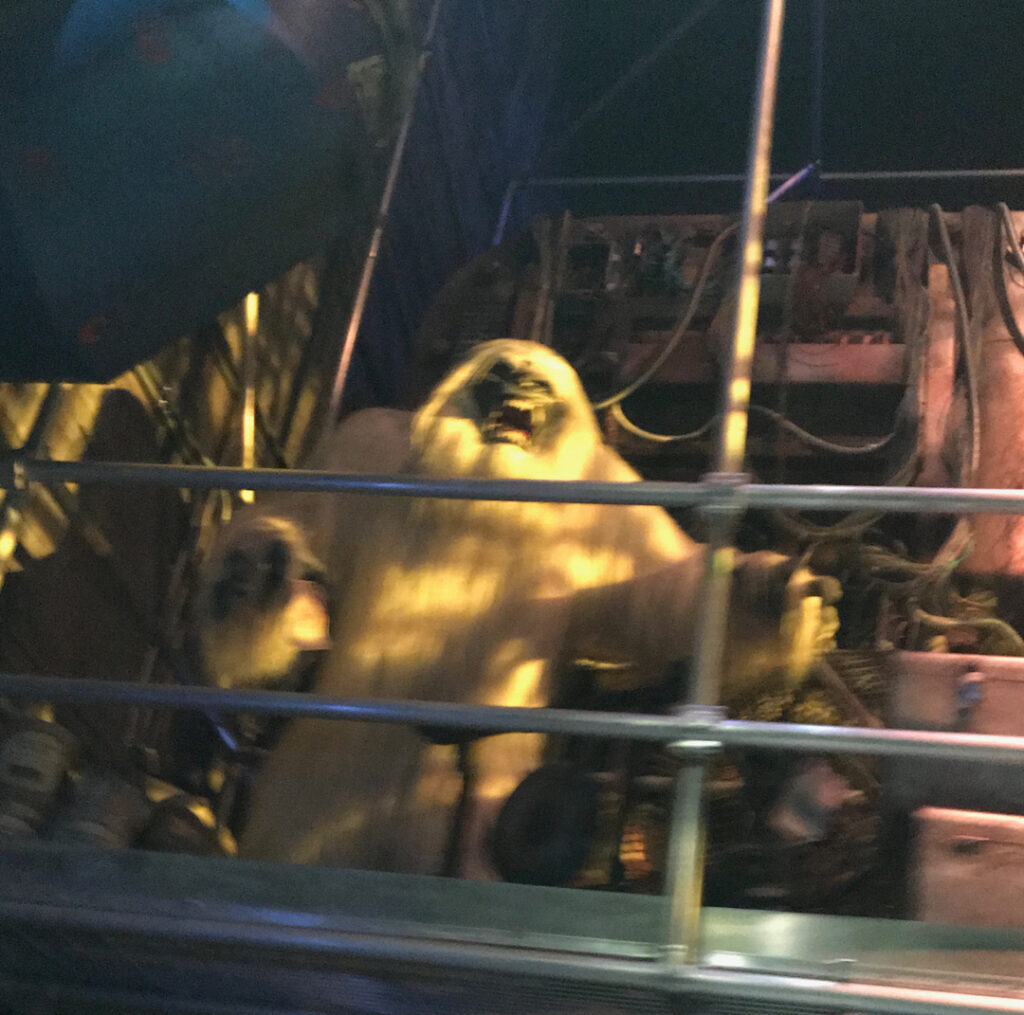 An old Abominable Snowman who once was in the Matterhorn Mountain can now be found hanging out in the queue of Mission Breakout: Guardians of the Galaxy at Disney's California Adventure.
