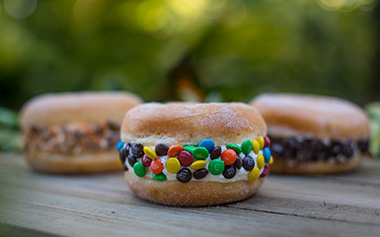 Donut Ice Cream Sandwich from the SeaWorld Seven Seas Food Festival