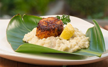 Scallops from the SeaWorld Seven Seas Food Festival