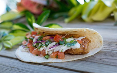 Baja Fish Taco from the SeaWorld Seven Seas Food Festival