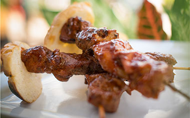 Chicken Pinchos from the SeaWorld Seven Seas Food Festival