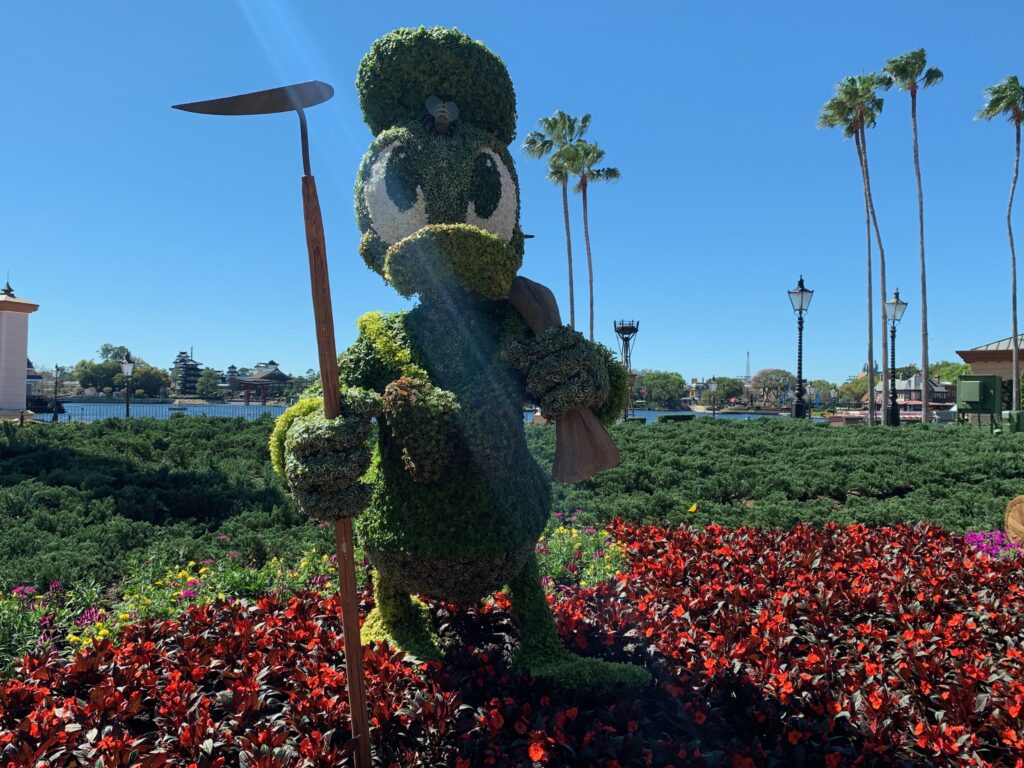 Donald duck is working in the garden at Showcase Plaza between Port of Entry and Disney Traders