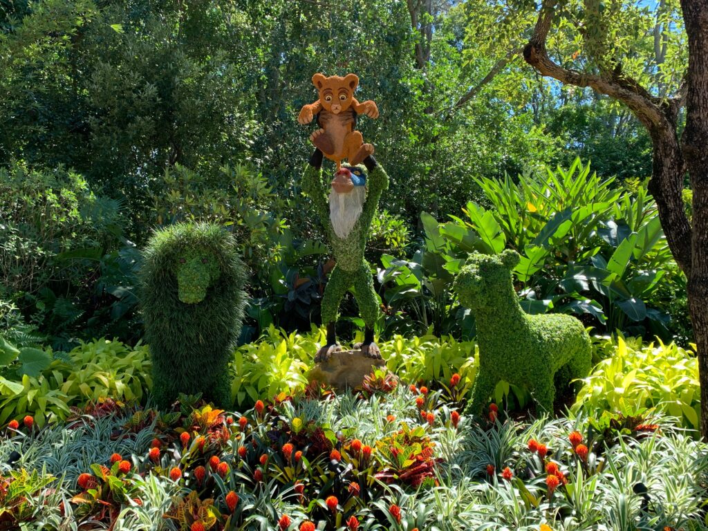 The Lion King topiary is back again this year as it's a popular spot for photos.  Find it between Italy and the Outpost